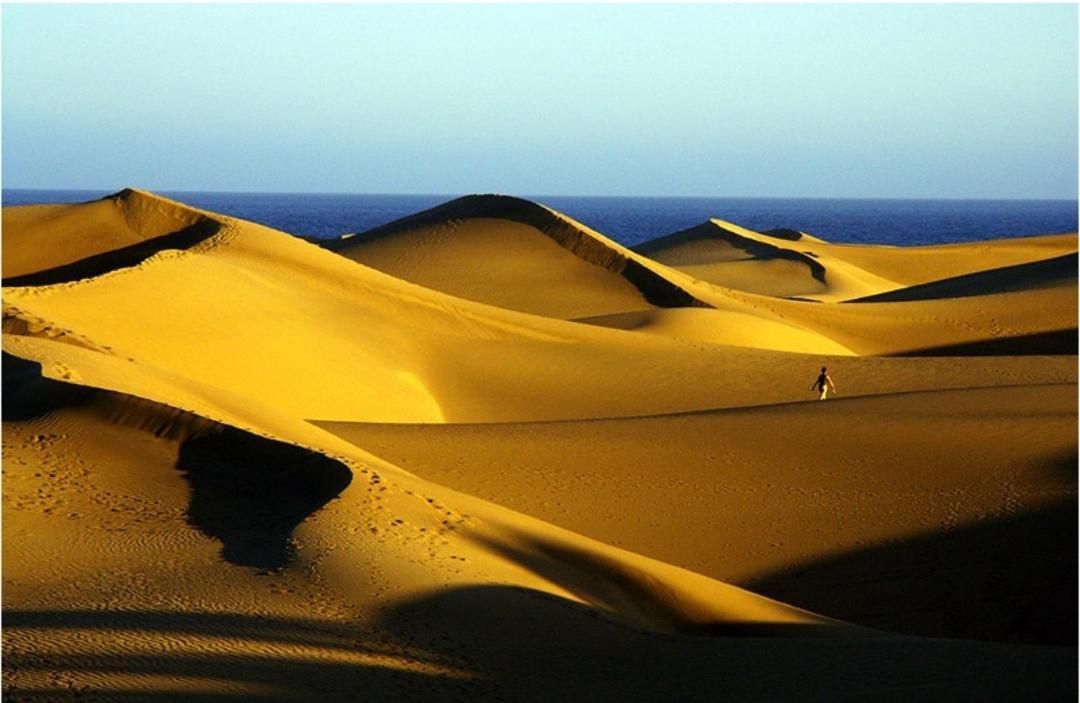 Acogedor Octavo Habitat Leilighet Maspalomas  Eksteriør bilde